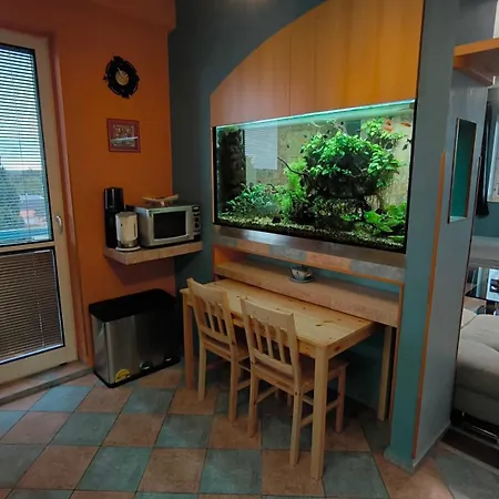 Apartamento Suk 24 *